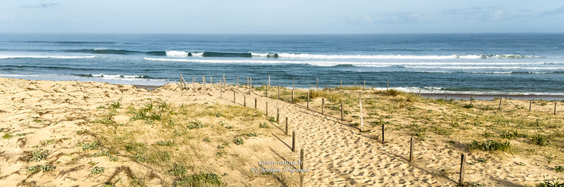 Cliquer pour agrandir la photo default