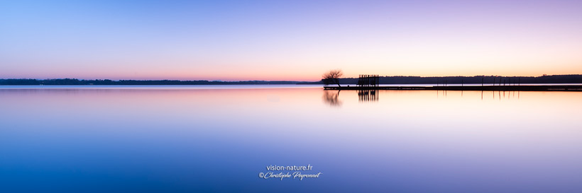 Cliquer pour agrandir la photo Le lac et ponton d'Azur - Les Landes