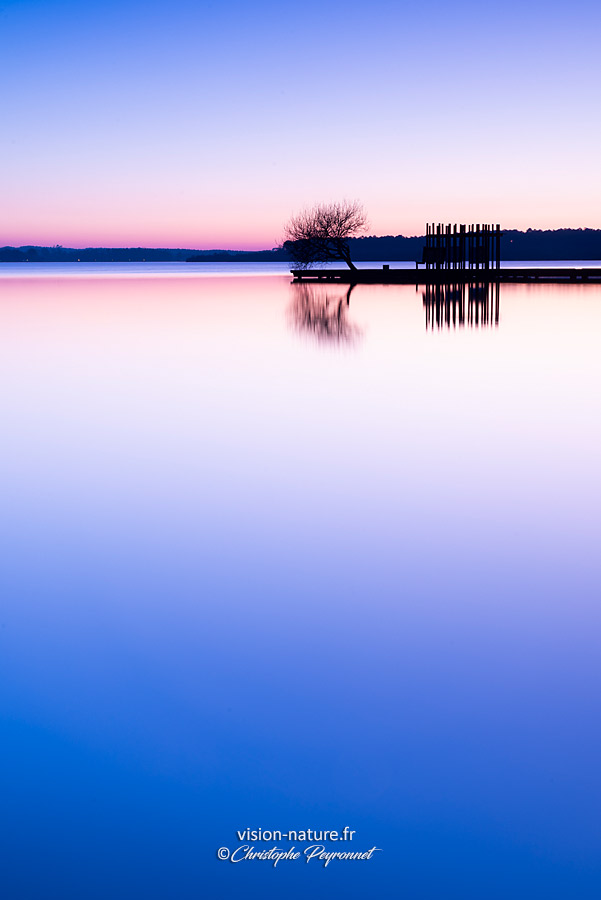 Cliquer pour agrandir la photo Le lac et ponton d'Azur - Les Landes