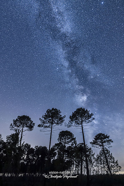 Balade intérieure dans les Landes