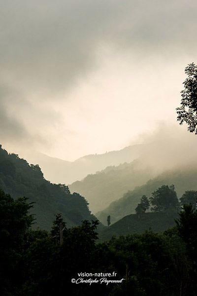 Brumes sur la Vallée d'Aspe