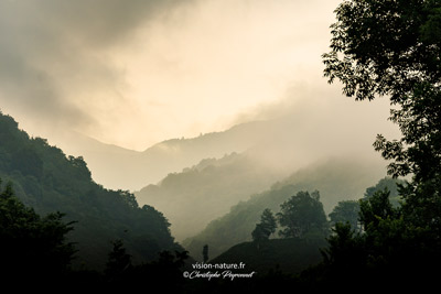 Jeux de brumes dans les Pyrénées
