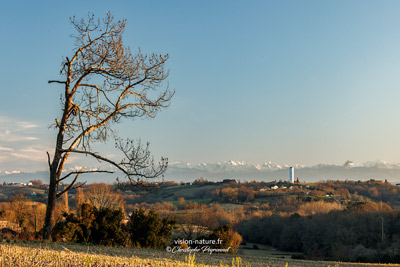 Les Landes intérieures à l'automne