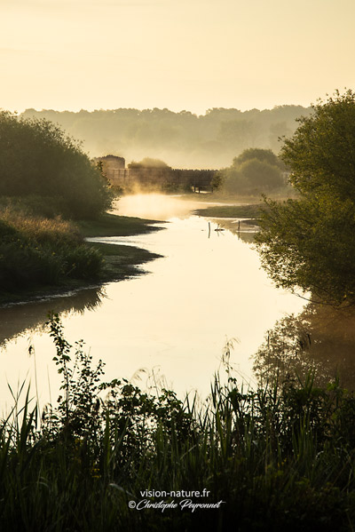 Le marais d'Orx au lever du jour