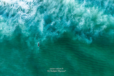 surfeur dans les vagues bleues turquoises depuis le ciel