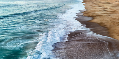 Cliquer pour agrandir la photo Ecume et vagues sur une plage de la côte landaise - photo semi-panoramique