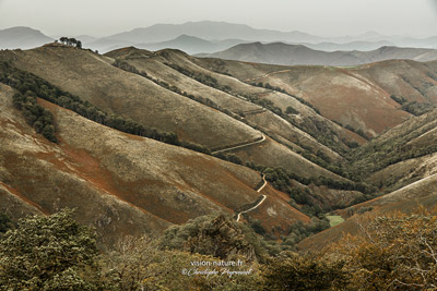 Paysages de la Soule à l'automne, province du Pays Basque