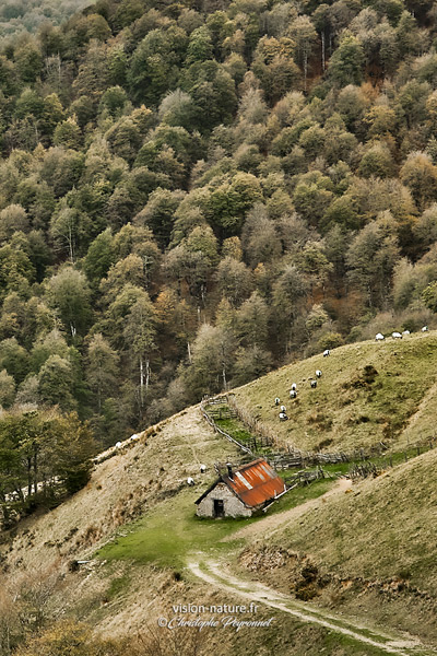 Une bergerie dans la région de la Soule, province du Pays Basqu