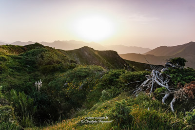 Coucher de soleil sur les hauteurs du col d'Aubisque